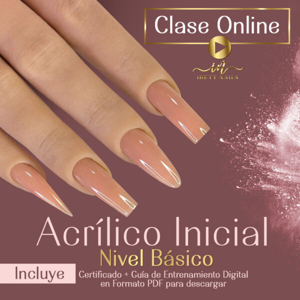 Video Clase Basico