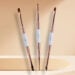 Set Paint Brushes